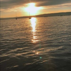 Meet your Posher, Bella